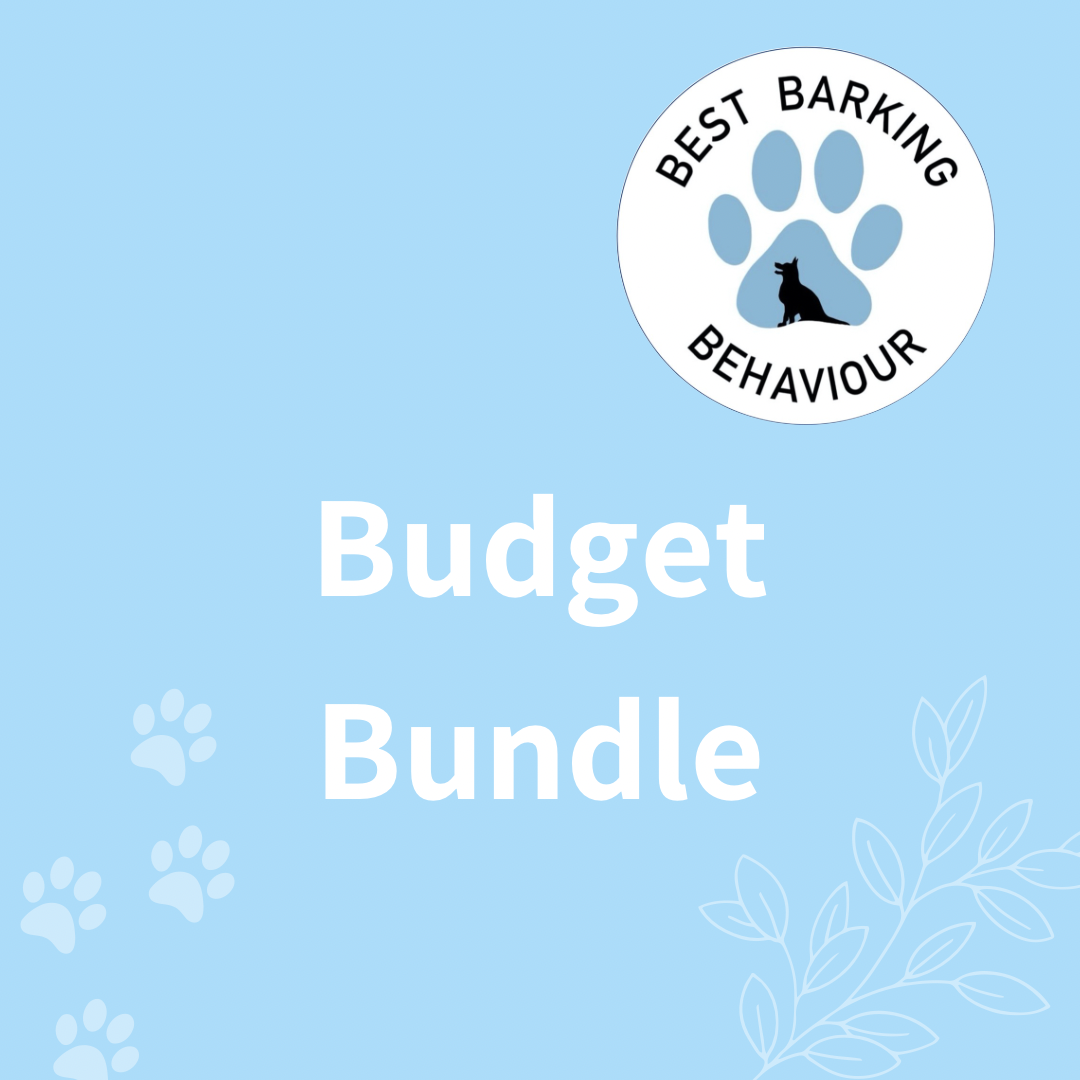Budget Training Treat Box