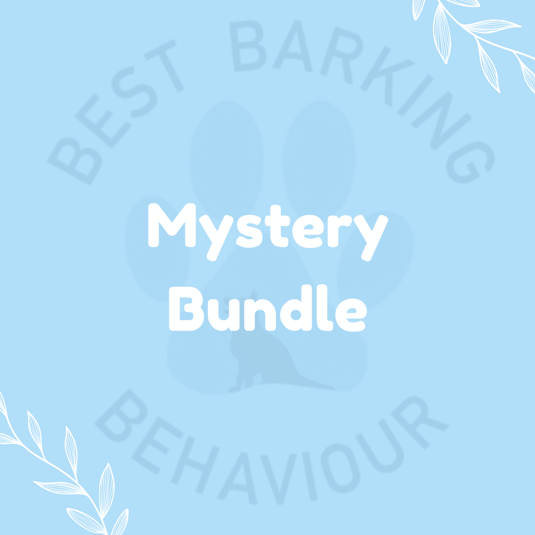 Mystery Bundle