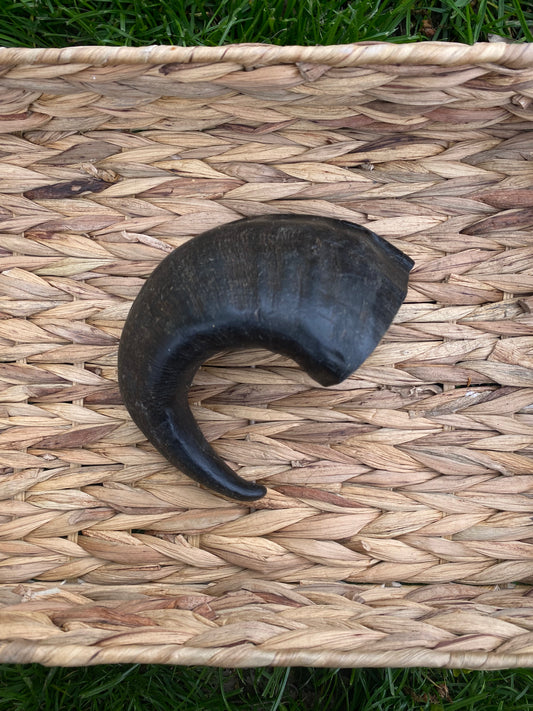 Buffalo Horn